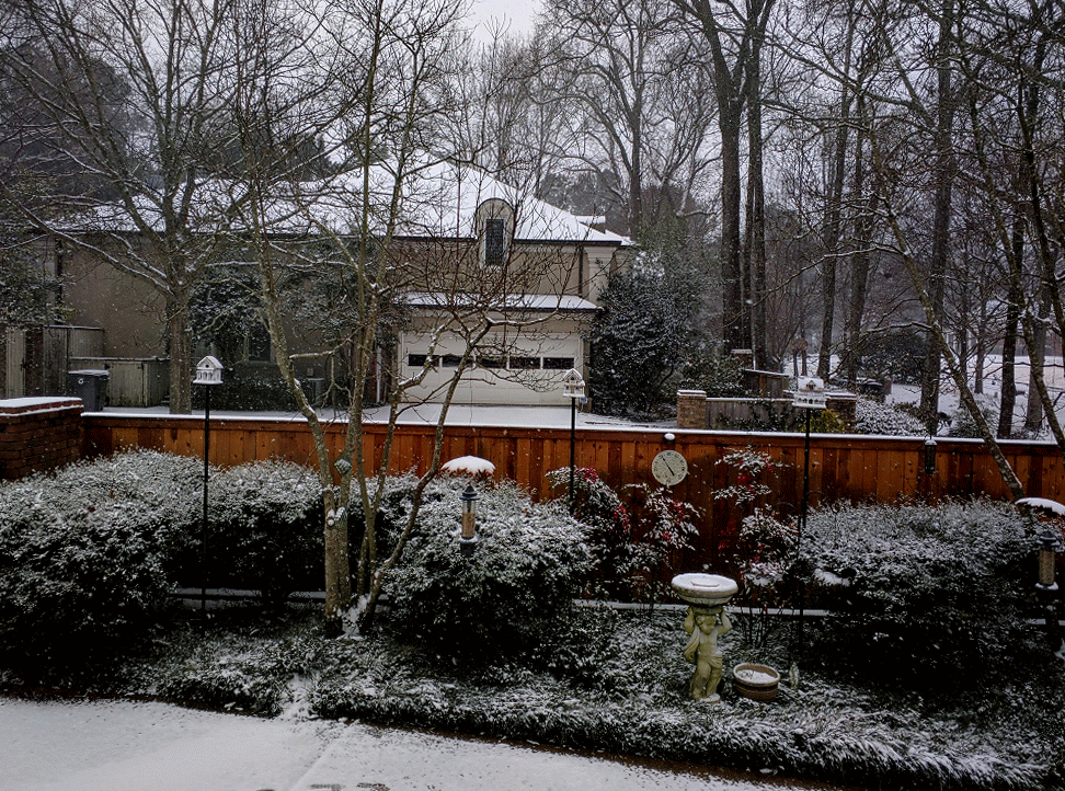 IMG_20170106_084434-ANIMATION